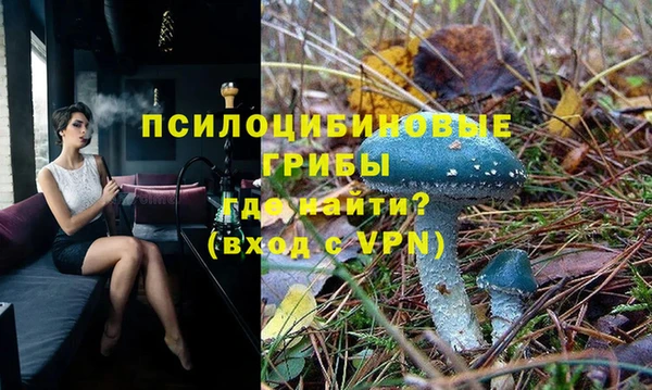 гашик Алзамай